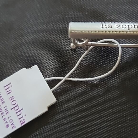 Lia Sophia Brand Jewelry Silver Retired Necklace Extender Shortener New - Picture 7 of 10